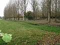 futur trail 051